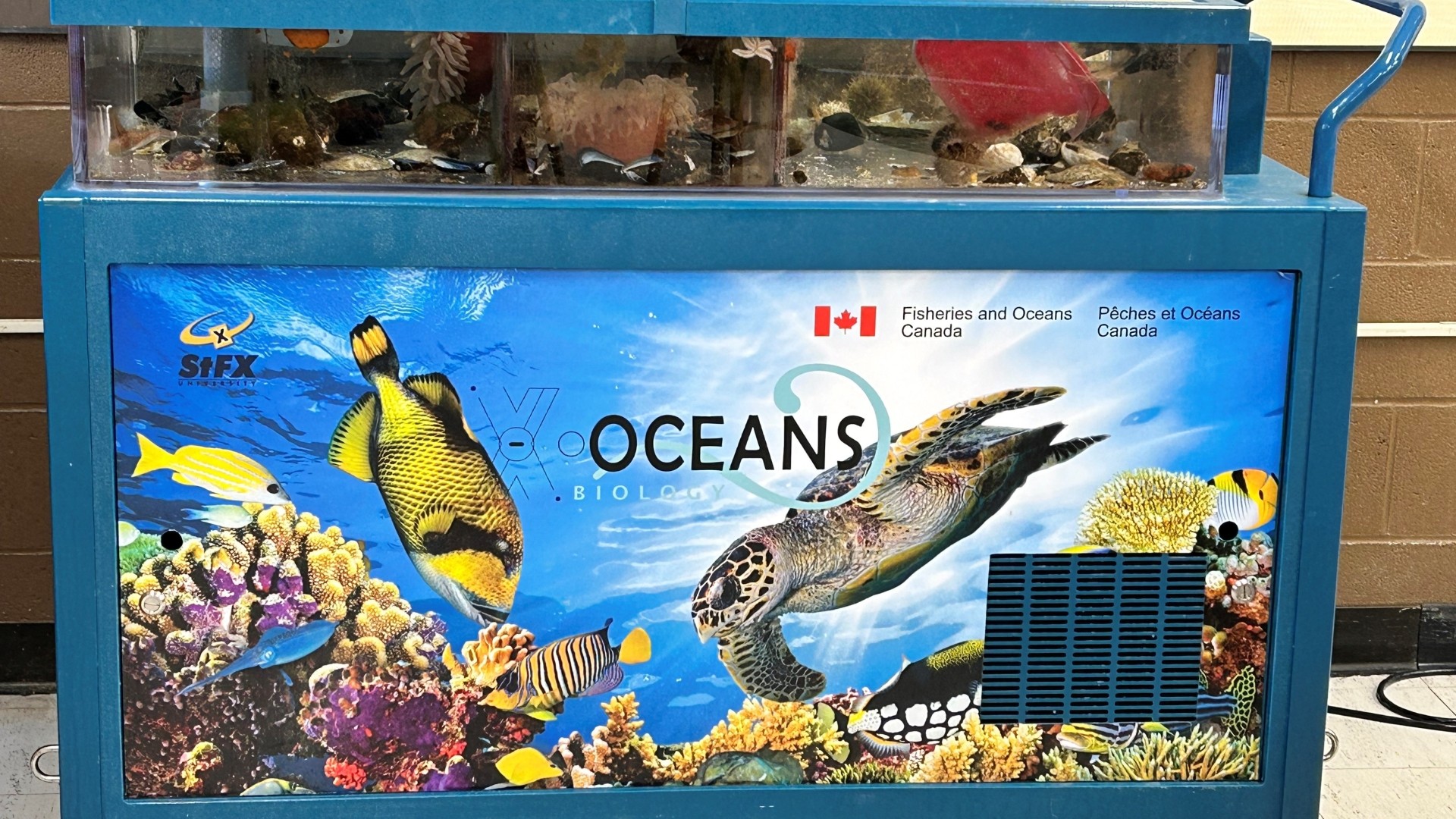 A tank containing sea life and displaying a federal Oceans poster