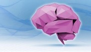 Pink Origami brain