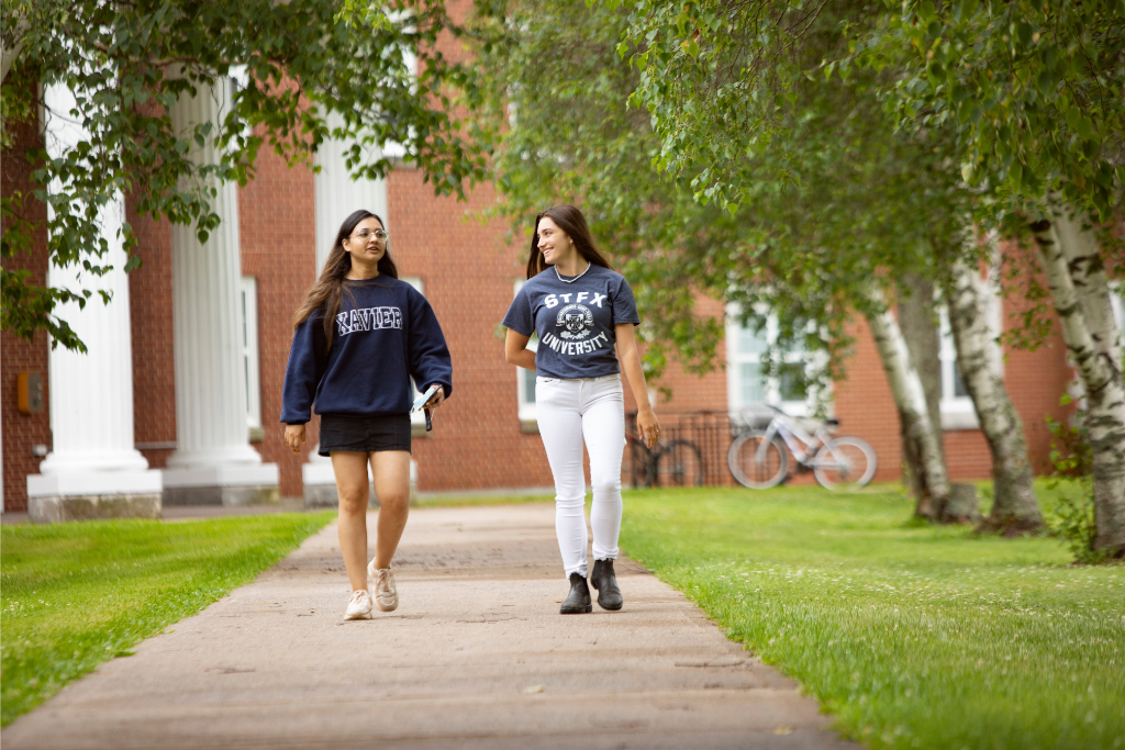 Students walk on campus