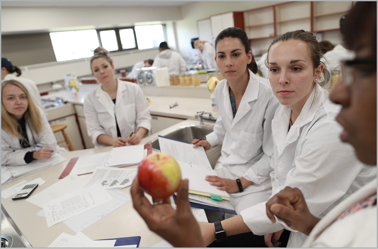 Students collaborating during lab