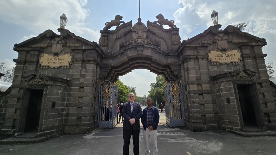 Addis gate