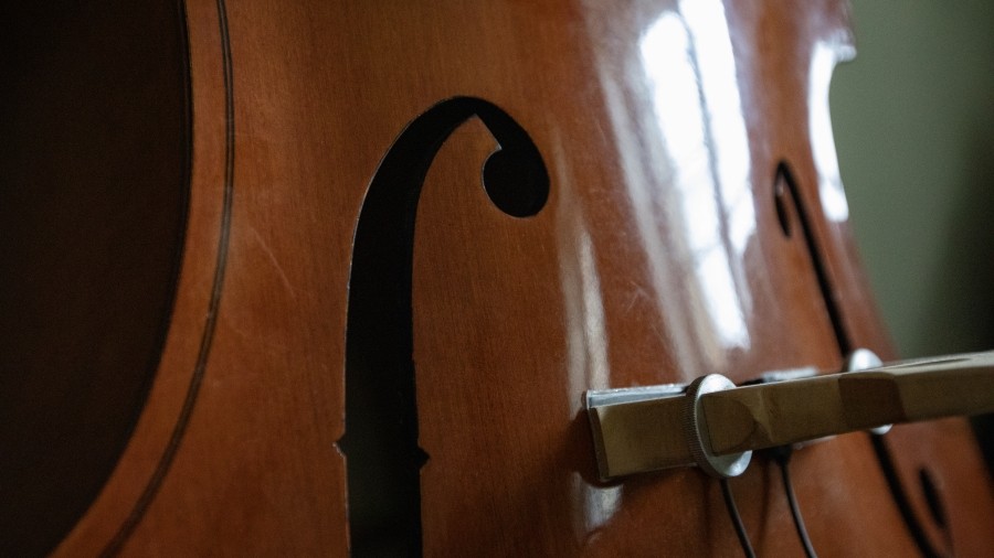Photo of a double bass
