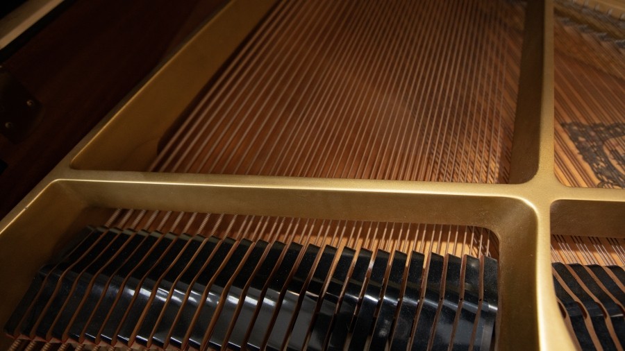Exposed strings of a piano