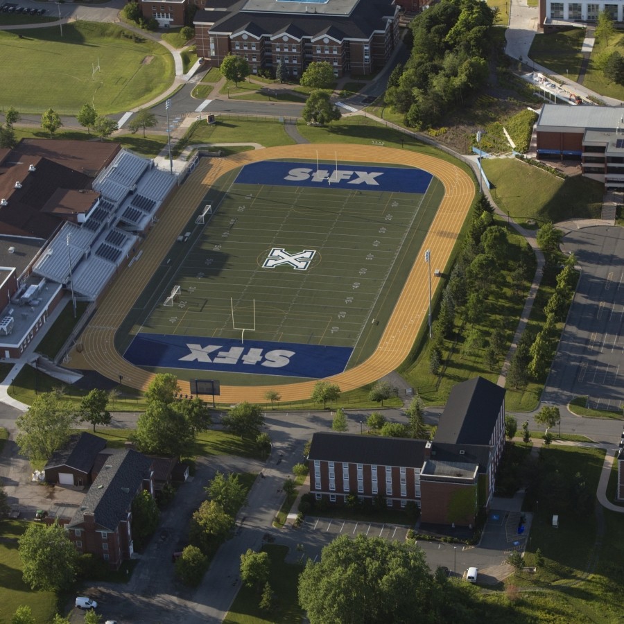 Aerial view of the field