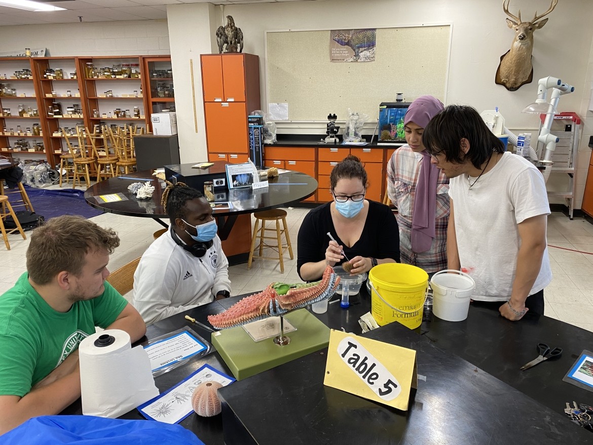 Teacher Instructing Students About Sea Urchin