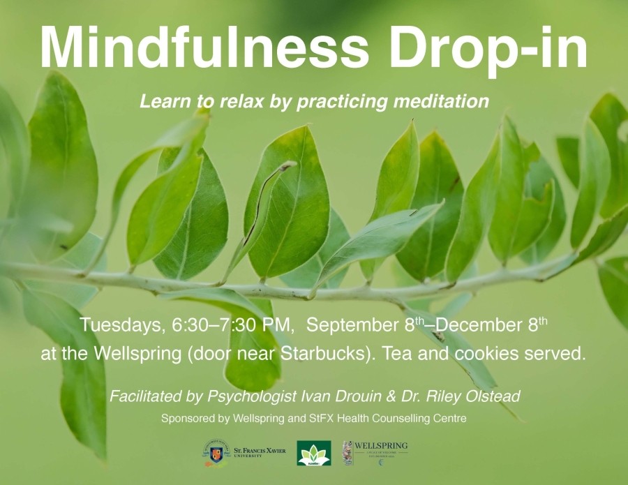 This image contains information on the mindfulness session