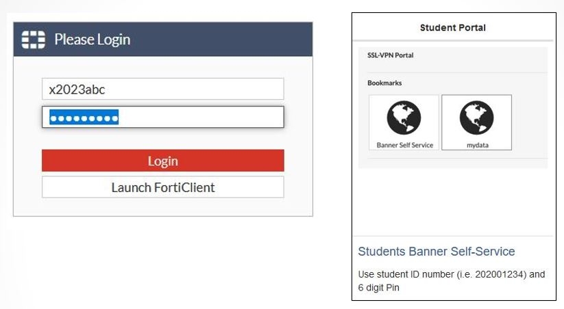 Portal Banner Login Pages Image