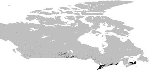 Gaelic on map of Canada from 1901 census