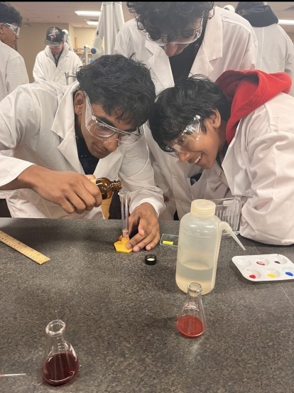 shad lab