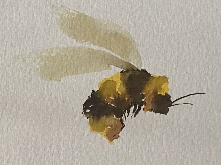watercolour image of a bumblebee
