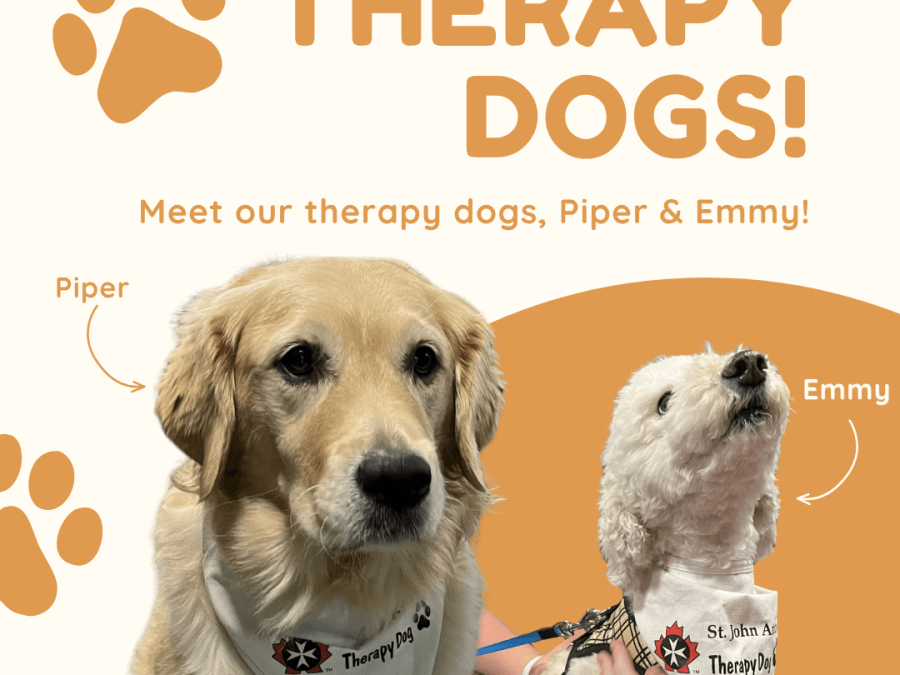 This image contains information regarding Therapy Dogs session.