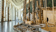 Carved wood pillars in museum